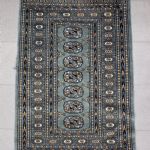 1011 2283 ORIENTAL RUG